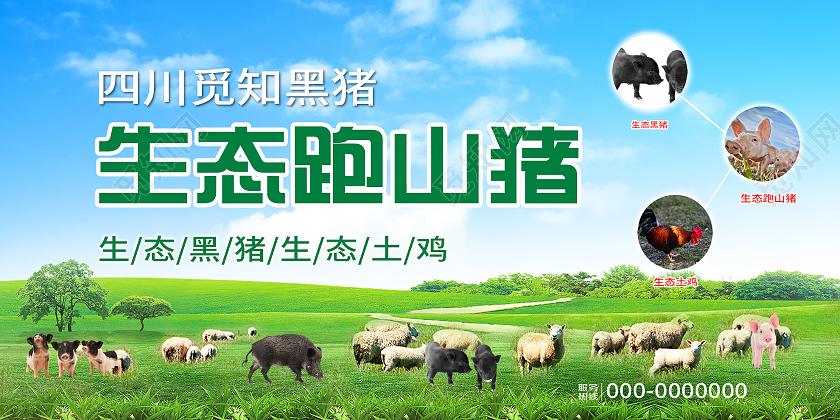 蓝色大气生态跑山猪绿色产品宣传活动展板黑猪展板