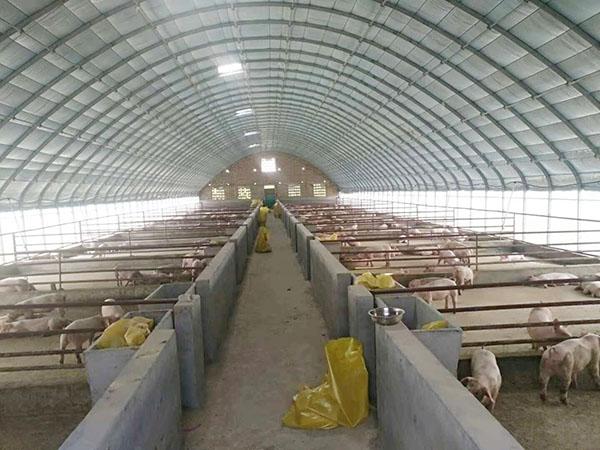 畜牧养殖大棚建设 - 产品网