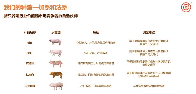 超级畜牧,勇攀“猪”峰-央视精彩展现天兆猪业楼房智能养猪场