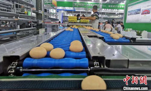 中国畜牧业协会物流分会成立 助推农牧物流标准化建设