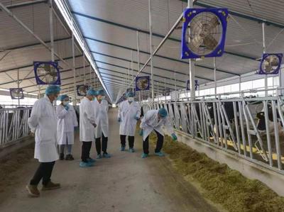 鄂尔多斯市又有一家企业申报有机产品通过现场检查