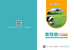 画册模板画册模板在线设计