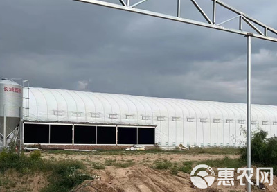专营大棚管材大棚骨架大棚材料养殖大棚种植大棚连栋棚