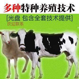 【鸡的养殖技术】价格,厂家,畜牧业副产品-搜了网