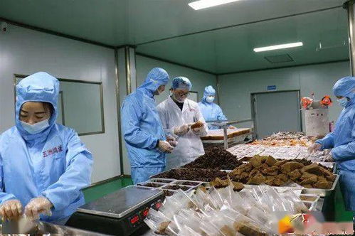 投产不足3个月,产值突破600万 这家公司是