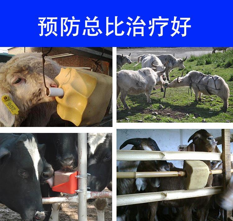 牛舔盐砖驱虫舔砖羊山羊怀孕微量元素5KG畜牧羊吃的驴用养殖添砖