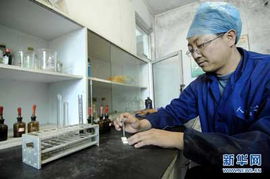 放心肉是怎样炼成的 猪肉溯源记 多图