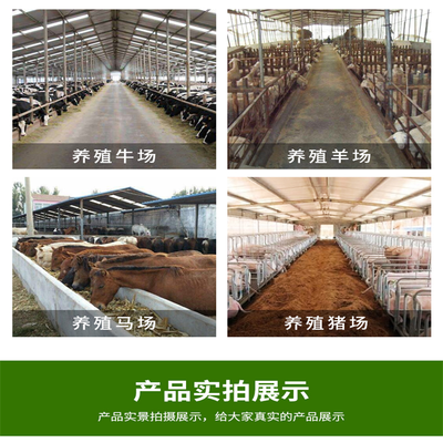 现代化饲养牛羊撒料车 节能省电养殖喂料车厂家