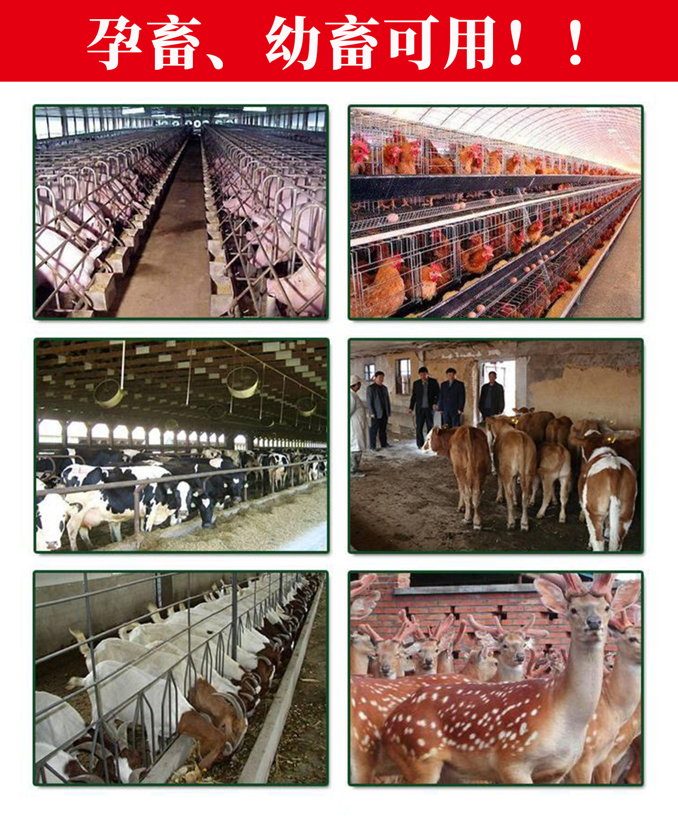 畜牧蚊香养殖场专用猪牛羊母猪宠物野外兽用驱虫灭蚊盘香长效