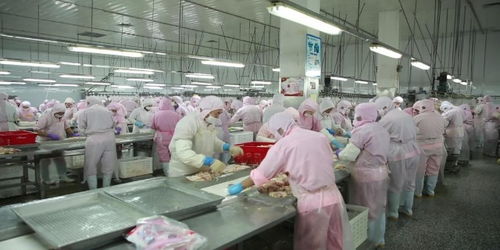 济宁畜牧产品有序生产 保障市场供应