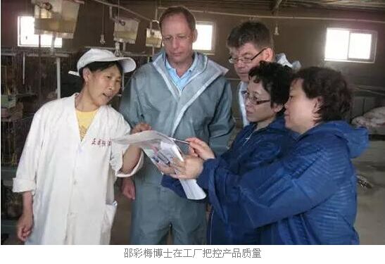 禾丰牧业,21年耕耘锻造中国500强企业-畜牧人才网
