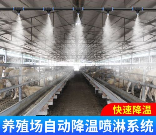 重庆畜牧场车辆喷淋消毒通道厂家