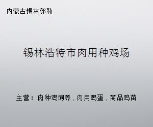 锡林浩特市肉用种鸡场