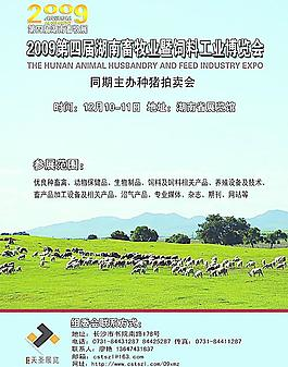 畜牧展海报图片_畜牧展海报素材_畜牧展海报模板免费下载