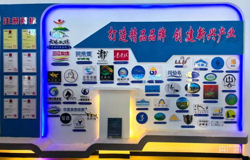 青海河南县立足三大特色畜种发展生态有机产业