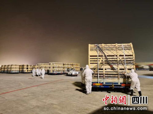 四川近年来最大规模种猪进境 首批1040头丹麦种猪落户宜宾