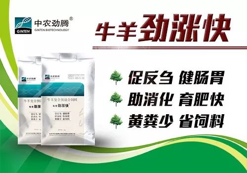 发文不同,5省份生猪跨省调运有何不同