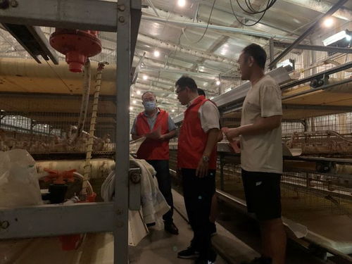 台儿庄农技人员 送技上门 开展畜牧水产技术服务