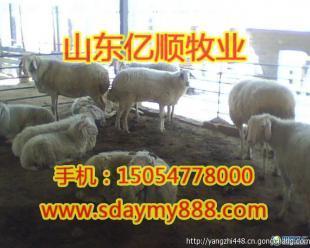 国家畜牧育种基地可信度山东亿顺牧业_农副产品_世界工厂网