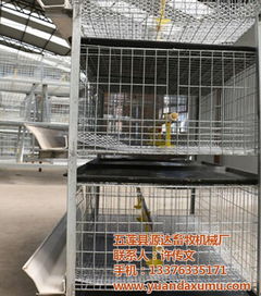 笼,育成笼,蛋鸡笼,公鸡笼及各种笼具 五莲县源达畜牧机械厂