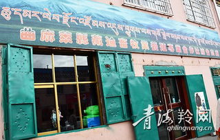 生态畜牧合作社 绿了草原富了牧民