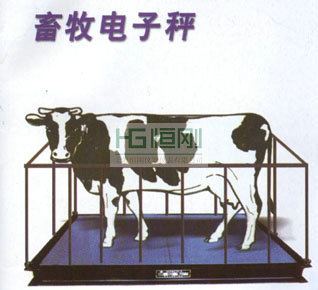 固定式畜牧电子地磅秤-产品报价-上海恒刚仪器仪表