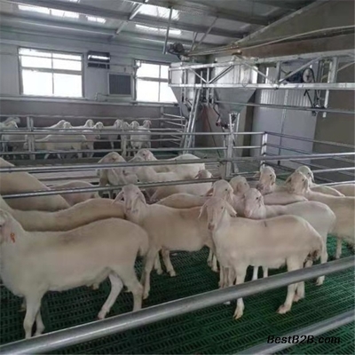 养羊漏缝地板