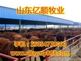 济宁畜牧繁殖总场质量好吗山东亿顺牧业_农副产品_世界工厂网