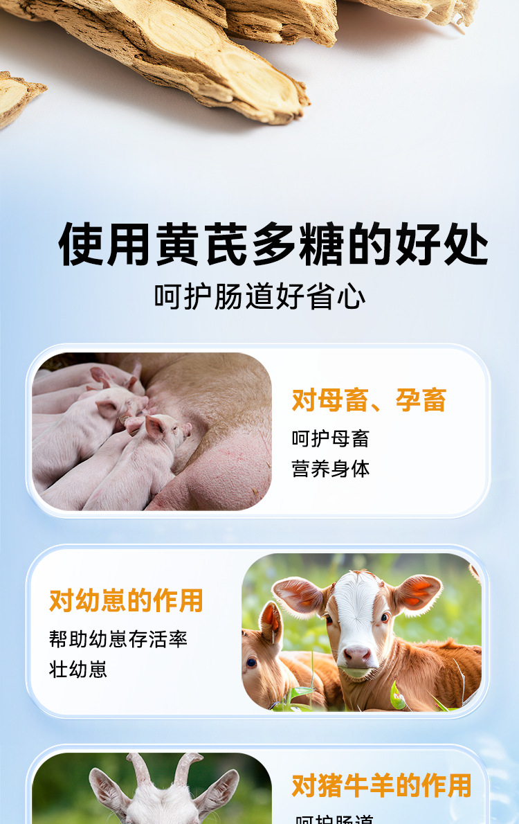 宠物畜牧产品贴牌加工禽畜养殖黄芪多糖颗粒源头工厂定制黄芪多糖