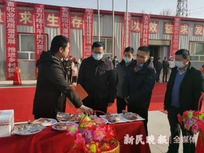 消费帮扶引路 莎车羊肉入沪--“喀什羊肉万里行”活动正式发车