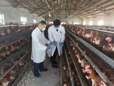 连云港市科学技术协会推动畜牧产品产业创新发展