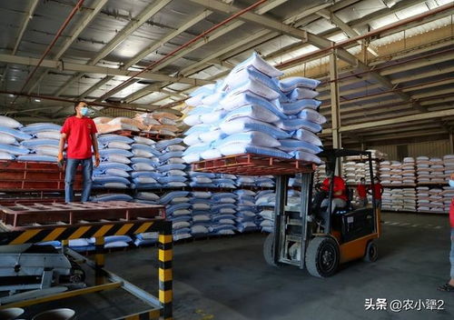 畜牧产品价格暴跌背后的多重原因分析