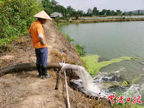 常德市畜牧水产事务中心筑牢水产养殖防护网 推动土副产品批发发展
