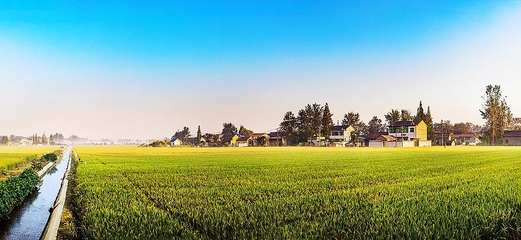 淮安市淮安区 农机装备产业升级为现代农业插上腾飞“翅膀”,携手土副产品批发共促乡村振兴