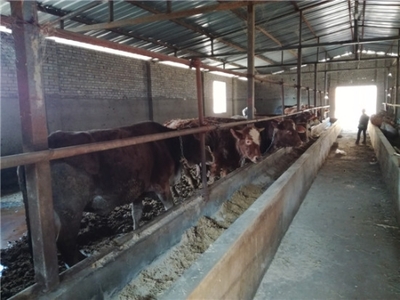 寻甸正德养殖 优质干货调料的来源与加工